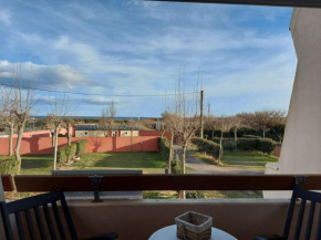 Appartement Marseillan-Plage, 2 pièces, 4 personnes - FR-1-326-698